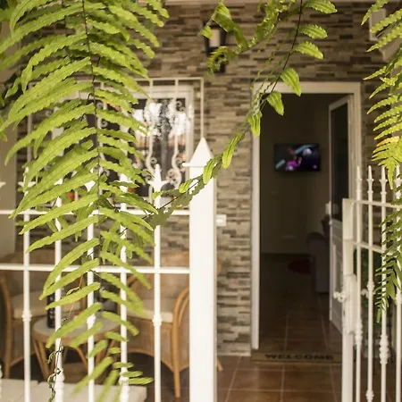 Inside Appartamento Icod De Los Vinos